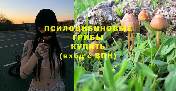 mdpv Каменка