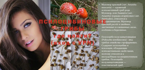 mdpv Каменка