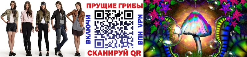 Купить где  Бежецк  Псилоцибиновые грибы GOLDEN TEACHER 
